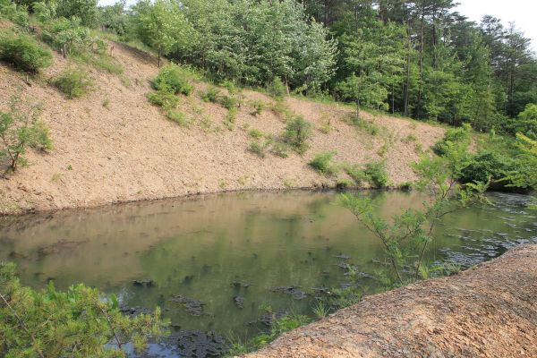 Pond Erosion Repair in Castle Rock